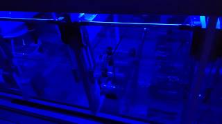 Jareks reef aquarium water test ep.2