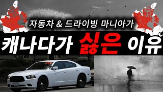 왜 미안하다는 표현을 못하는 걸까? | 캐나다 밴쿠버의 이런 점은 자동차, 드라이빙 매니아들에게 지옥이 됩니다 | 밴쿠버에서 최고의 매너 운전은 한국인? 맞습니다