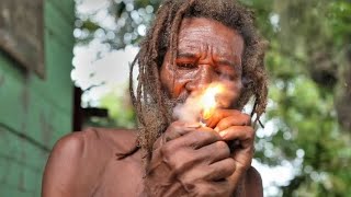 Real Roots Reggae Music 🎶 (MASADA BY ALPHA BLONDY)#trending #music #viral #reggaeton