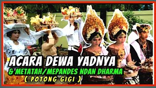 Ndan Dharma || Acara Dewa Yadnya dan Metatah/Mepandes/Potong Gigi 21-09-2021 @wayansvlog