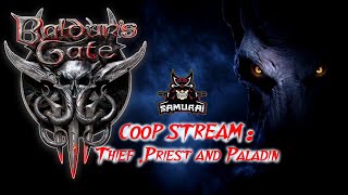 Baldur’s Gate III Темный паладин, Темный жрец и хитрожопый Разбойник!