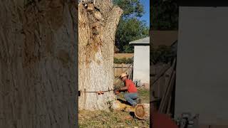 Husqvarna 390xp chainsaw square cut