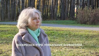 Воскресное утро. Управление вниманием.