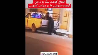 انتقال گوشت سگ به قصابی ها لطفاً از مراکز مطمئن خریداری کنید