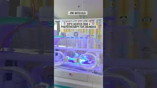 Newborn undergoing phototherapy treatment for jaundice in heated crib Ⅰ Special Care Nursery