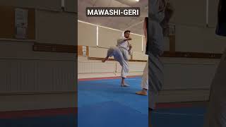 Mawashi-Geri #karate #martialarts #shorts #kicks