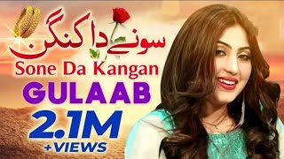 Sone Da Kangan [ Gulaab ] New Video _ Saraiki Song _ Slowed + Reverb