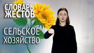 Cловарь РЖЯ:: Сельское хозяйство