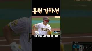 김하성의 시즌 7호 홈런!