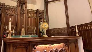 3 PM Holy Hour , Wednesday, August 14, 2024 ￼