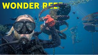 Scuba Diving The World's ONLY Floating Reef!