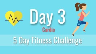 Day 3 Fitness Challenge - Endurance/Cardio