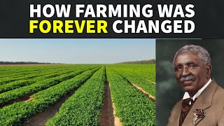 Victoria 3 - Agricultural IMPROVING Technologies