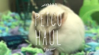 NEW HAMSTER HAUL (AND SOME MORE STUFF)