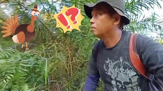 ngerinya!! kamera langsung error || explore hutan dan rawa Borneo