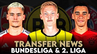 Bayern & BVB an Larsson dran! Geht Wirtz zu Arsenal? 5 BVB-Profis zu Bochum? | Transfer News