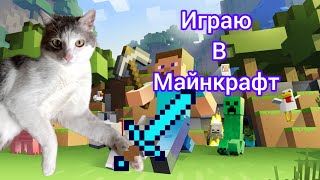 играю в Майнкрафт с друзьями юбилейный ролик 😁😁🔥🔥☘️🔥🔥🐱