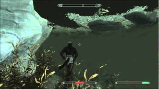 TESV: Skyrim: Walking under water bug