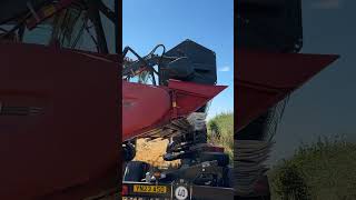 #XXL #Monster #Case 9250 #Combine & 2 X #MasseyFerguson #Tractor #Harvesting #Wheat #Yorkshire