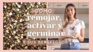 ¡Mejora tu digestión! Cómo remojar, activar y germinar granos, nueces, semillas y legumbres