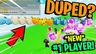 😱 The NEW #1 PLAYER in Pet Simulator X with FULL TEAM OF *DUPED* HUGE PETS?! CRAZY PET SIM X DUPES