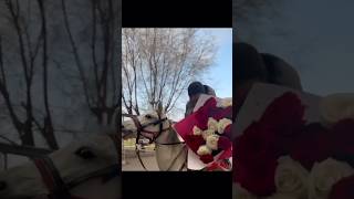 Казахский принц на белом коне 🐎 🤴