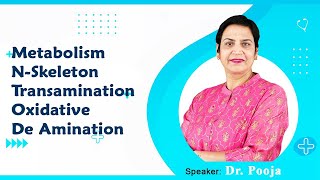 Metabolism, N-Skeleton, Transamination, Oxidative & De Amination By Dr Pooja For MBBS 1st Proff