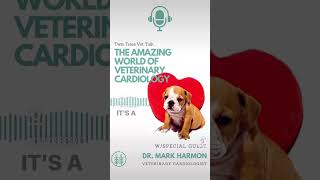 NEW EPISODE! The Amazing World Of Veterinary Cardiology│Twin Trees Vet Talk (PODCAST)