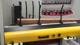 Four Side Moulder_Pneumatic feed machinery(氣壓式送料機)_1