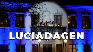 LUCIADAGEN 2024 IN MALMÖ | LIKESWEDEN