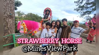 MINES VIEW PARK in BAGUIO CITY  - SOBRANG GANDA NG VIEW AT NAPAKALAMIG