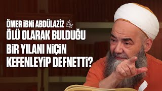 Ömer İbni Abdülazîz Radıyallâhu Anh Ölü Olarak Bulduğu Bir Yılanı Niçin Kefenleyip Defnetti?