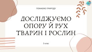 Досліджуємо опору та рух тварин і рослин