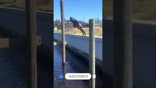 Try Not To Laugh 🤣🤣🤣 | Funny Videos | Shorts  #viral #instagram