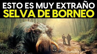 Descubre Las 20 Cosas MÁS EXTRAÑAS En Las Selvas De Borneo