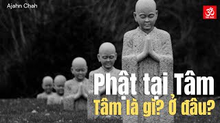 Phật tại Tâm. Tâm là gì? Ở đâu ? Ajahn Chah