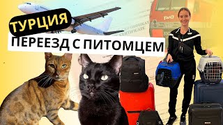 ПЕРЕЕЗД С ЖИВОТНЫМИ В ТУРЦИЮ|ТИТРЫ|ДОКУМЕНТЫ|ВЫВОЗ ЖИВОТНЫХ ЗА ГРАНИЦУ|КОШКА|СОБАКА|ПИТОМЦЫ