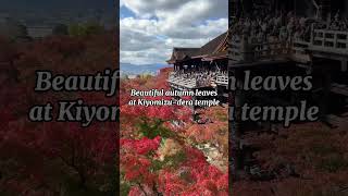 Kiyomizu-dera temple #Shorts