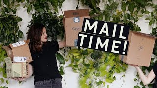 Open Mail with Me! Packages From My Favorite Sustainable Brands -- Vlogmas #3