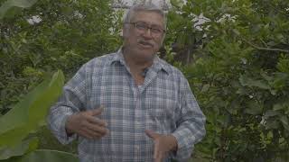 Jesús López- productor e limón en Veracruz