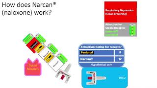 Treating Opioid Overdose: How to Use Narcan®