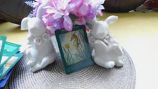 (part 2 -Continuation)  Animal Tarot Cards from Doreen Virtue - View them here!