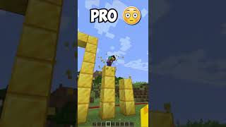 Noob VS Pro: Cuss Words in Minecraft 😱 #shorts