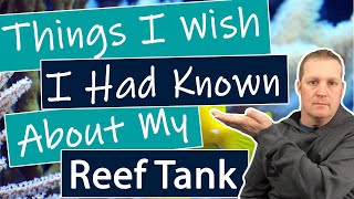 Things I Wish I Had Known About A Reef Tank