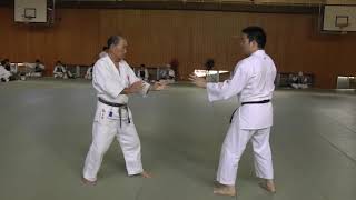 Katate waza Hideo Doya& Akira Aya