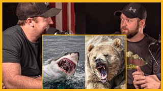 Would You Rather Fight a Bear or Shark?