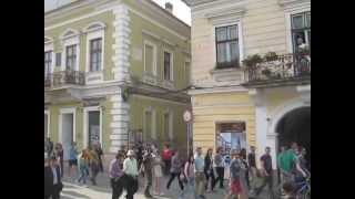 03 - Proteste impotriva taierii padurilor - Cluj - 9 mai 2015