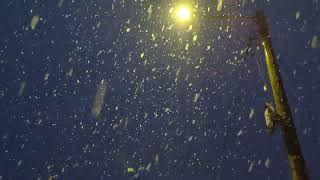 ASMR fresh snow falling (Jaktorów, Poland, March 6th)