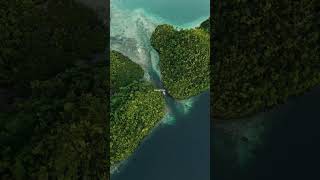 #dronevideo #nature #travel #ocean #fyp