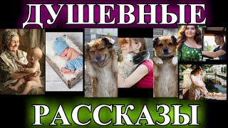 ДУШЕВНЫЕ  РАССКАЗЫ❤️УЧАСТКОВЫЙ РЫБОВ❤️СКУПЕРДЯИ❤️ПРОДАЛА❤️ТАНЯ В КОРОБКЕ❤️РОДНОЙ ДОМ @TEFI РАССКАЗЫ